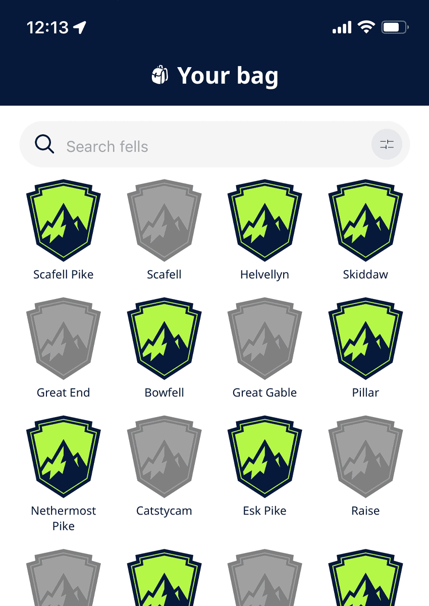 Bag screen